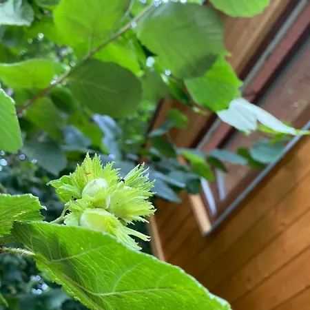 럭셔리텐트 Vinna Maringotka 슬라보니스